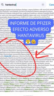 GUARDA Y COMPARTE 🤯
No podemos volver a permitir una PLANDEMIA

Si quieres el informe original comenta INFORME

#covid #hantavirus #plandemia